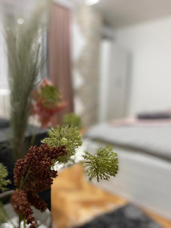 Apartman Bonaca Ni Exteriör bild