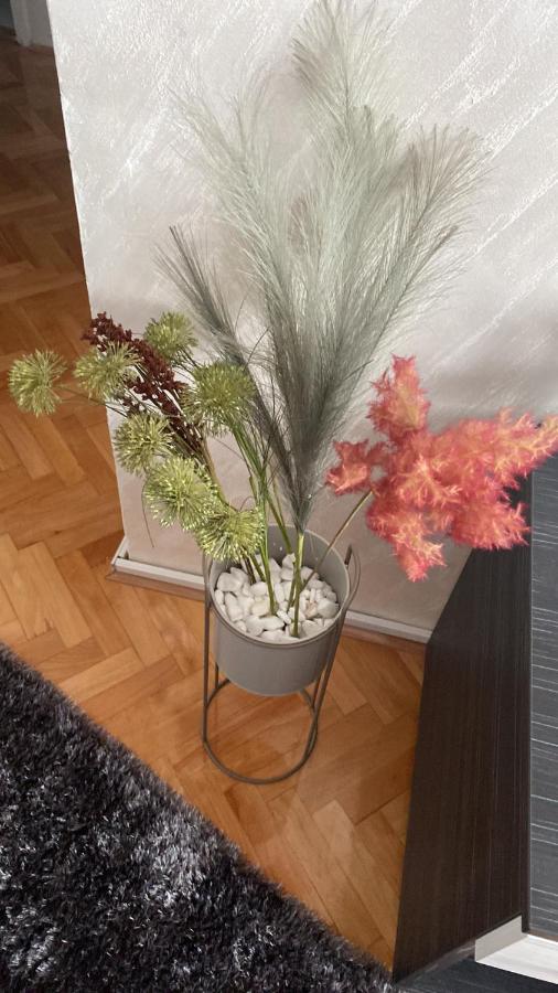 Apartman Bonaca Ni Exteriör bild